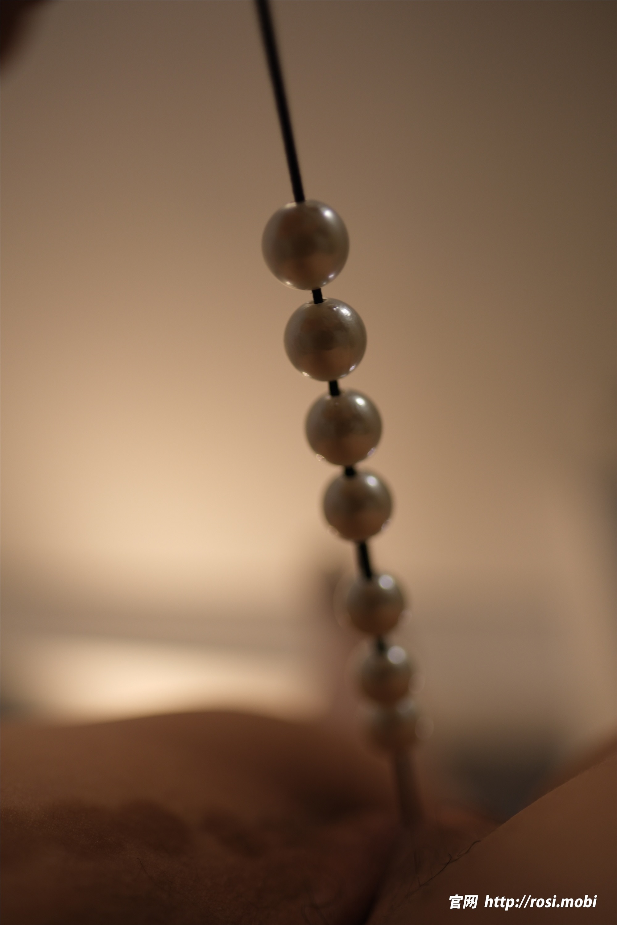 ROSI写真 2025.02.07 NO.4813